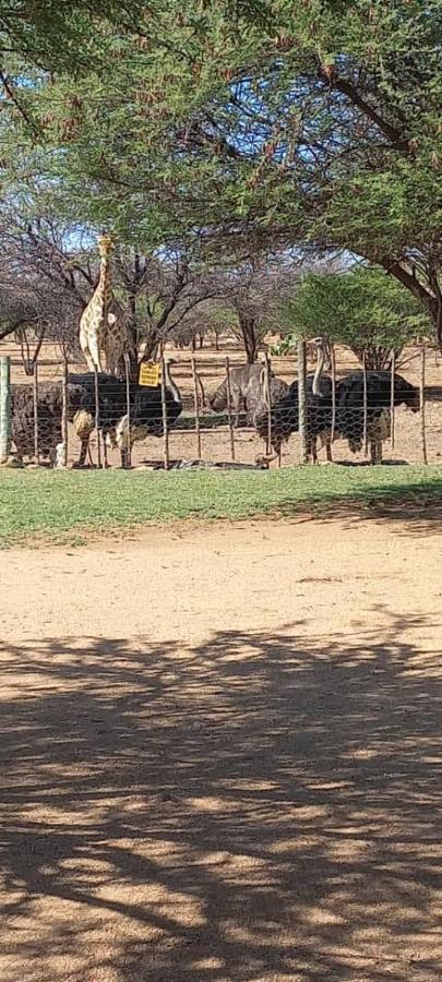 Ombo Rest Camp Hotel Okahandja Bagian luar foto